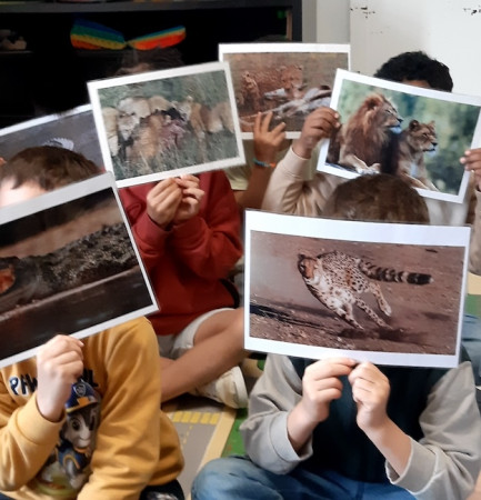 Fungagá da Bicharada em Venade